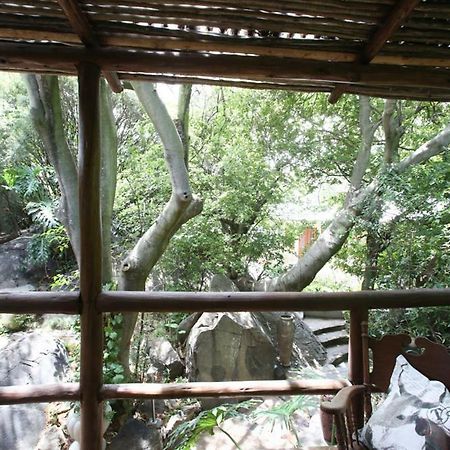 Little Forest Guest House Johannesburg Exteriér fotografie