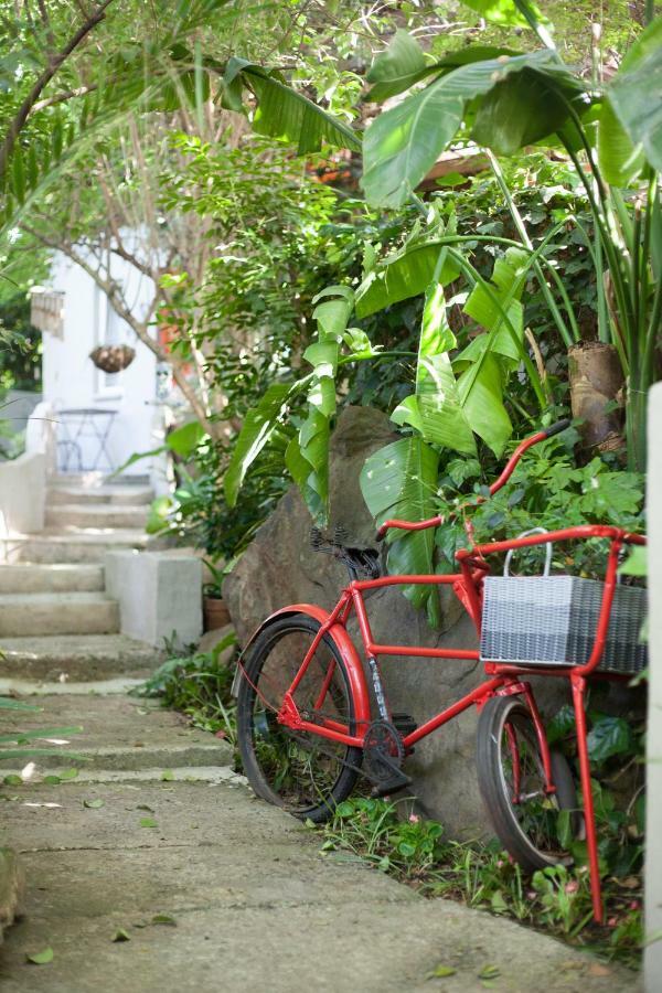 Little Forest Guest House Johannesburg Exteriér fotografie